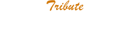 Tribute
JB 70’s / Aulne - Purple Metalic / Erable
Micros Hepcat Pickups